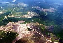 Luas Hutan Alam Terus Menyusut Setiap Tahun